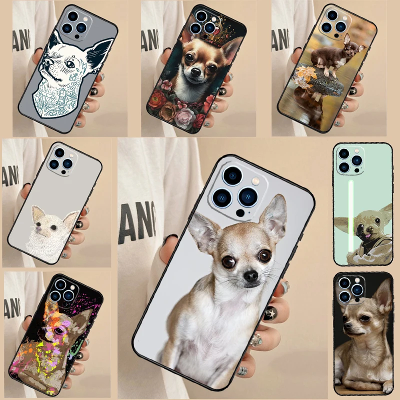 Chihuahua Dog Cute … - image