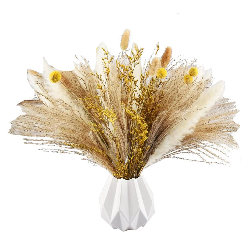 

Pampas Grass Decor 65Pcs 17.5 inch Natural Dried Pampas Plants -Fluffy Dried Flowers & White Pampas & Natural Reed Grass