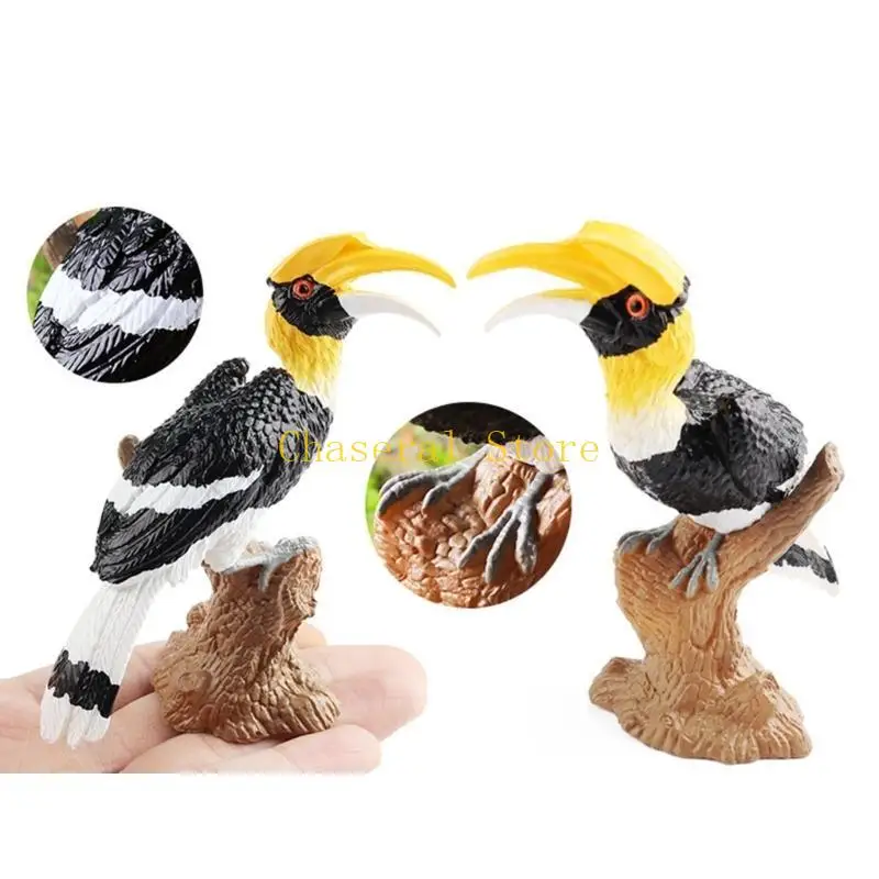 E7CE Realistic Toucan Model Figure Toy Animal Statue Bird Figurine SafariZoo Boutiques Store Science Classroom Award