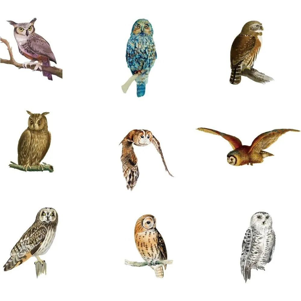 9 Styles Owl Wall Decals Short Eared Vinyl Wall Stickers Northern Pygmy Decoration Snowy Owl Long Eared Great