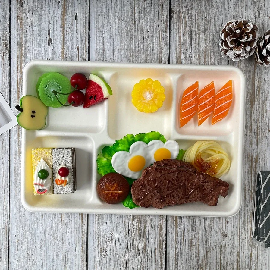 Biodegradável cana-de-açúcar bagasse clamshell 9*6 polegadas 2 compartimentos 100% compostatável lancheira para levar 100 peças