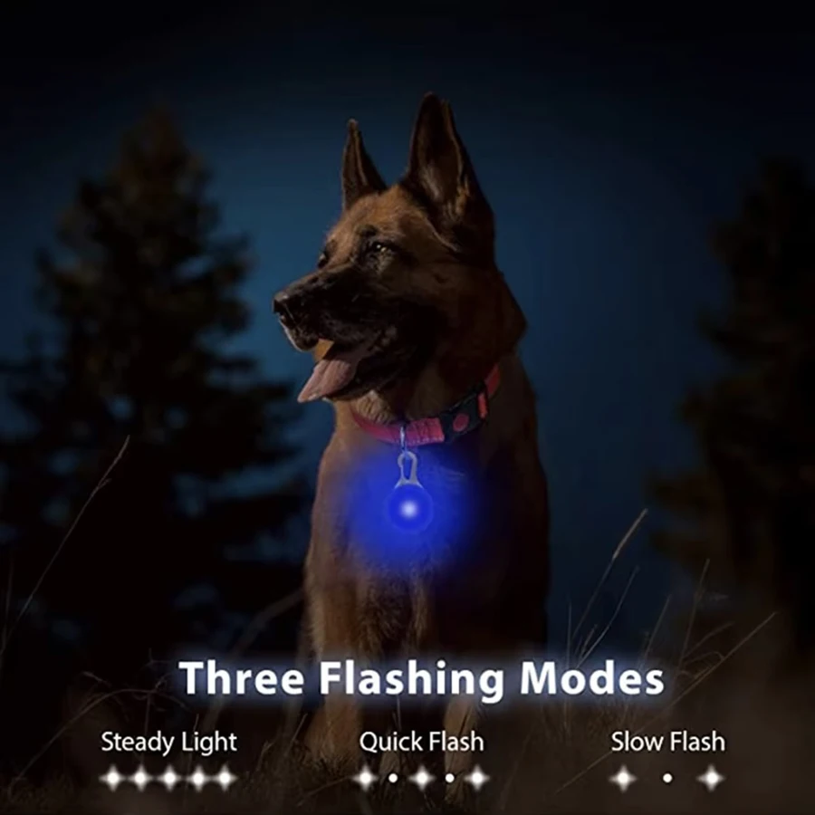 Thumbnail 3 - #2 Best LED Puppy Collars to Buy In 2026