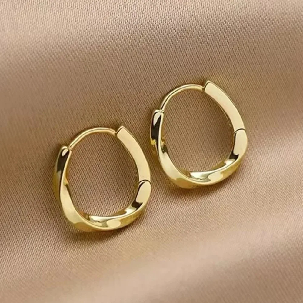 classic trendy High-quality gold color Stainless steel Twisted Hoop Earrings for Women Charm Piercing Earrings Jewelry Accessory