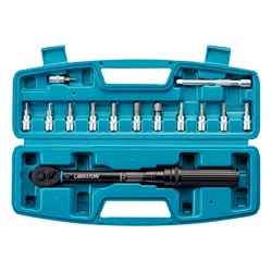 Libraton Bike Torque Wrench 1/4'', 5-25Nm, 0.1Nm Micro, Drive Click Torque Wrench Set, Hex, Torx/Star Bit Sockets, Extension Bar