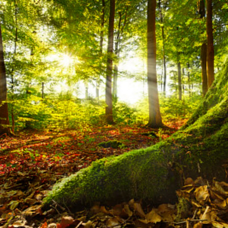 Детали для обновления из алюминиевого сплава для радиоуправляемого автомобиля Remo Hobby Smax 1/16 1631 1635 1651 1655, поворотный рычаг, рулевая группа, крепление оси, сиденье C