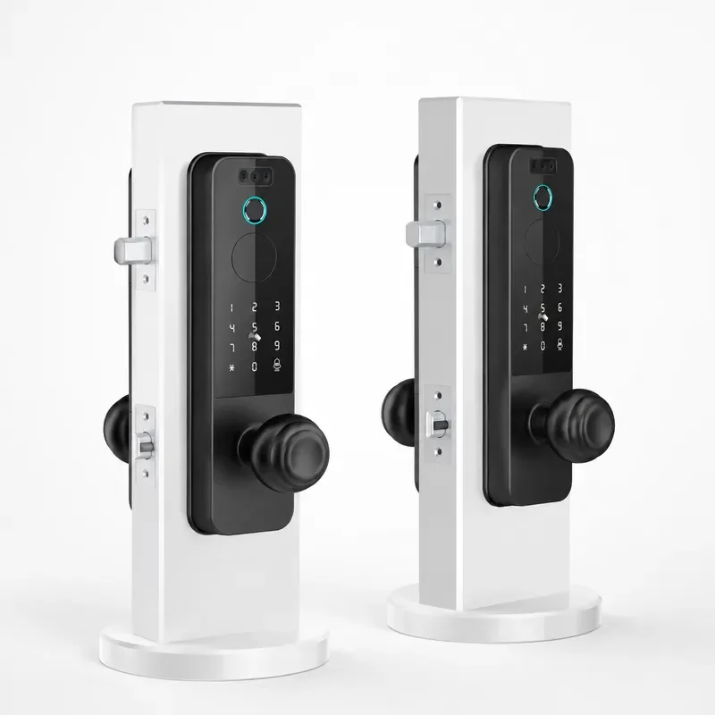 Cross-border Wooden Door Lock Facial Recognition Smart Lock Graffiti Remote Fingerprint Password Lock Free Hole