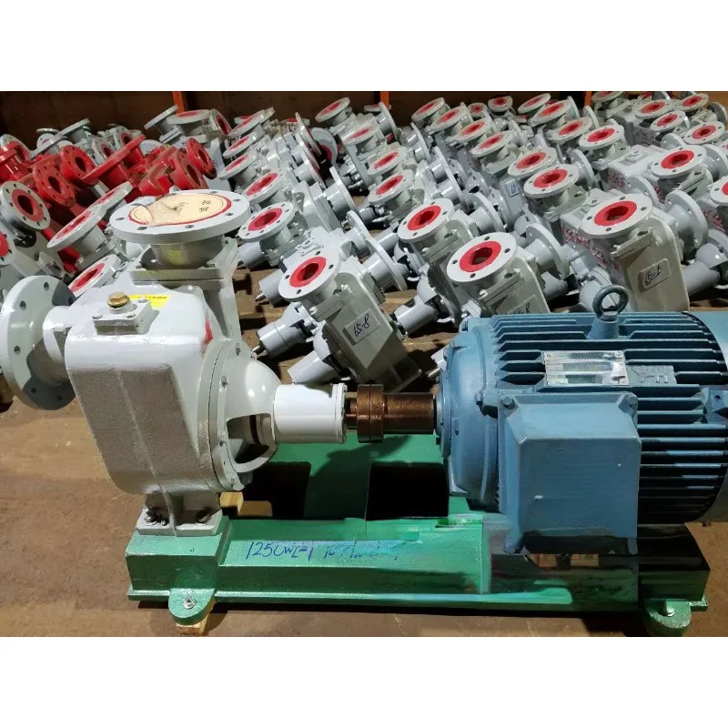 Marine Self-Priming Centrifugal Pump 100cwz-18 Horizontal Self-Priming Centrifugal Pump Marine Centrifugal Pump CCS Certificate