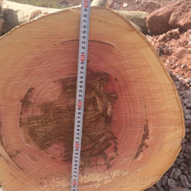 381 Chain Saw Logging Saw 3.9KW/5.3HP Woodworking Chain  Imported Bearing Gasoline Portable Chain  72.2CC