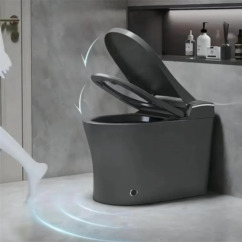 Hotel Bathroom Sanitary Wares Intelligent Grey Ceramic Toilet Bowl Automatic WC Commode Smart Toilet
