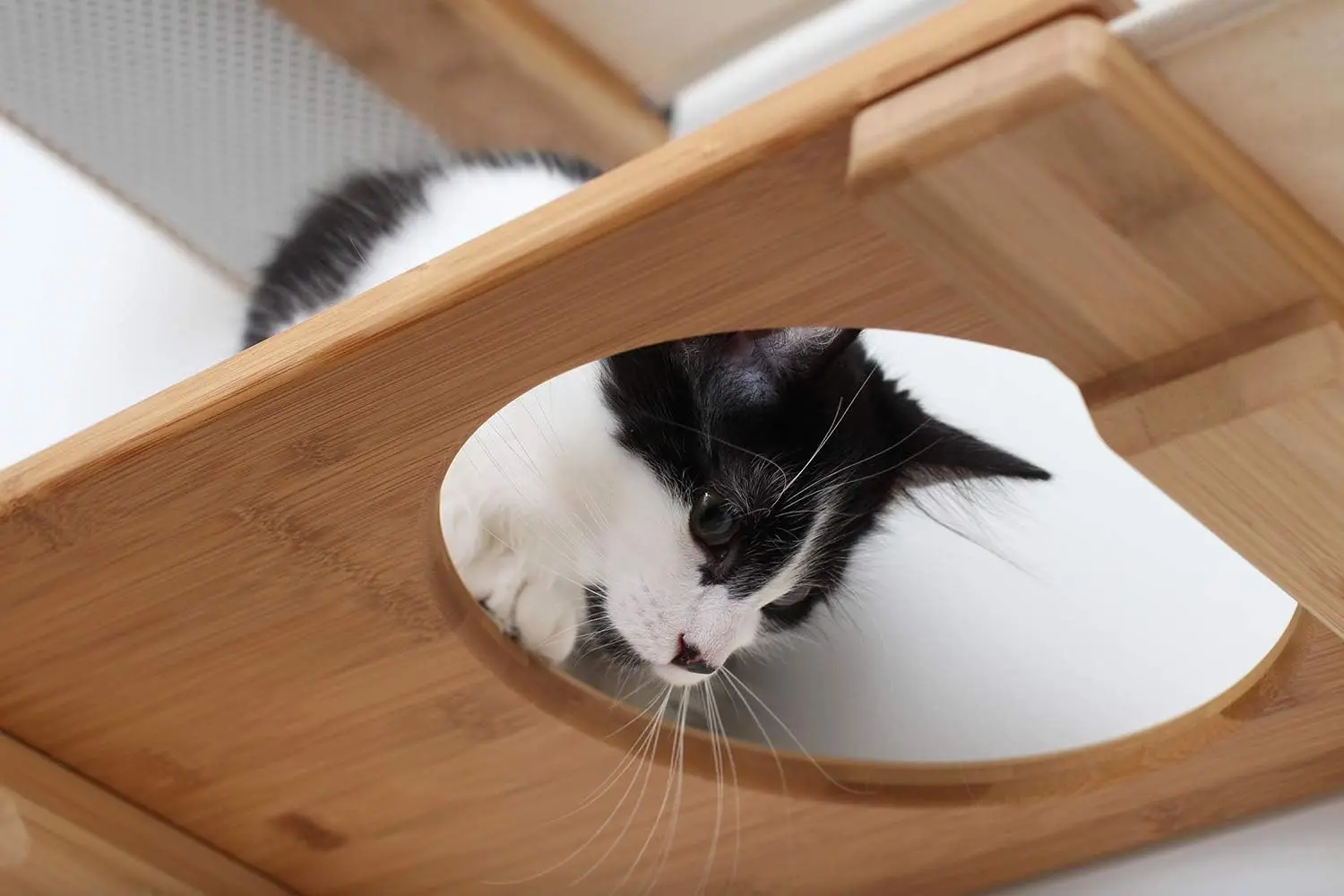 Hamaca para gatos y centro de actividades de escalada Estantes de árbol para gatos montados en la pared