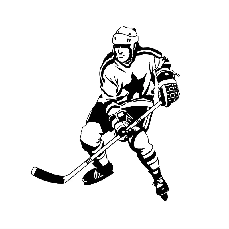 16 * 13.5Cm Ice Hoc… - image