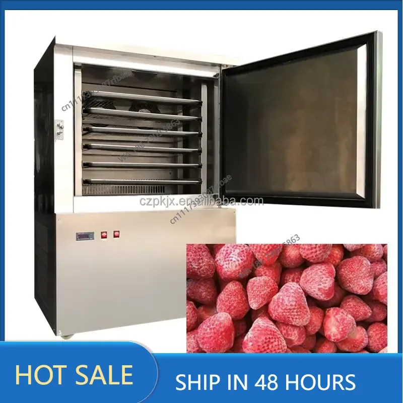 Small Commercial Quick Food Fish Shrimp Prawn Squid Machine Vegetable Seafood Blast Freezer