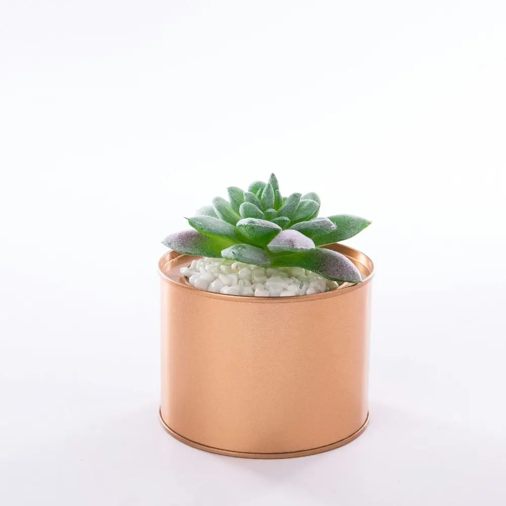 Creative Tinplate Iron Succulent Plant Pot Vintage Coffee Sugar Container Desktop Flower Pot Jewelry Box Cylinder Tea Can Garden