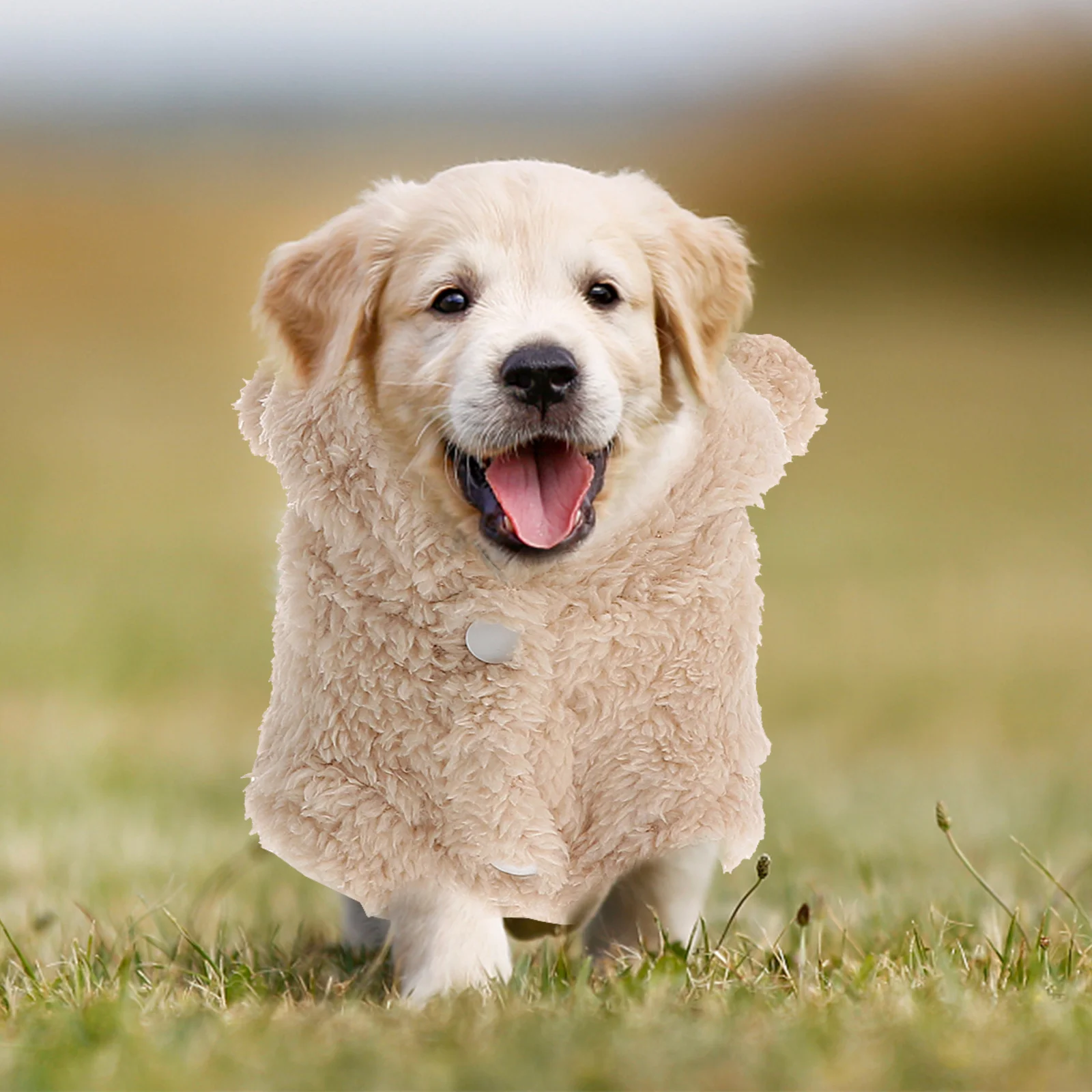 

Bear Ears Dog Clothes Winter Warm Hooded Pet Sweater No-Sleeve Design for Easy Movement Comfortable Dog Apparel (Apricot, S)