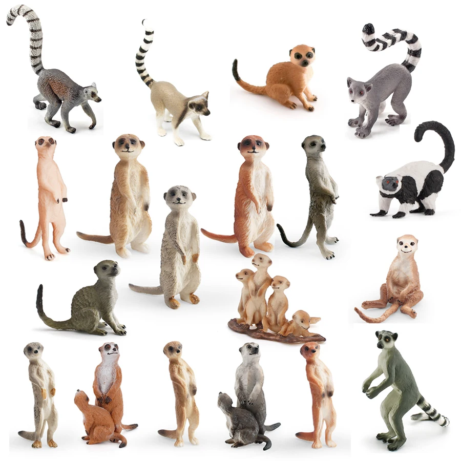 Realistic Meerkat Suricate Mongoose Lemur Action Figures Cute Wild Forest Animals Model Miniature Collection Ornament Kids Gift