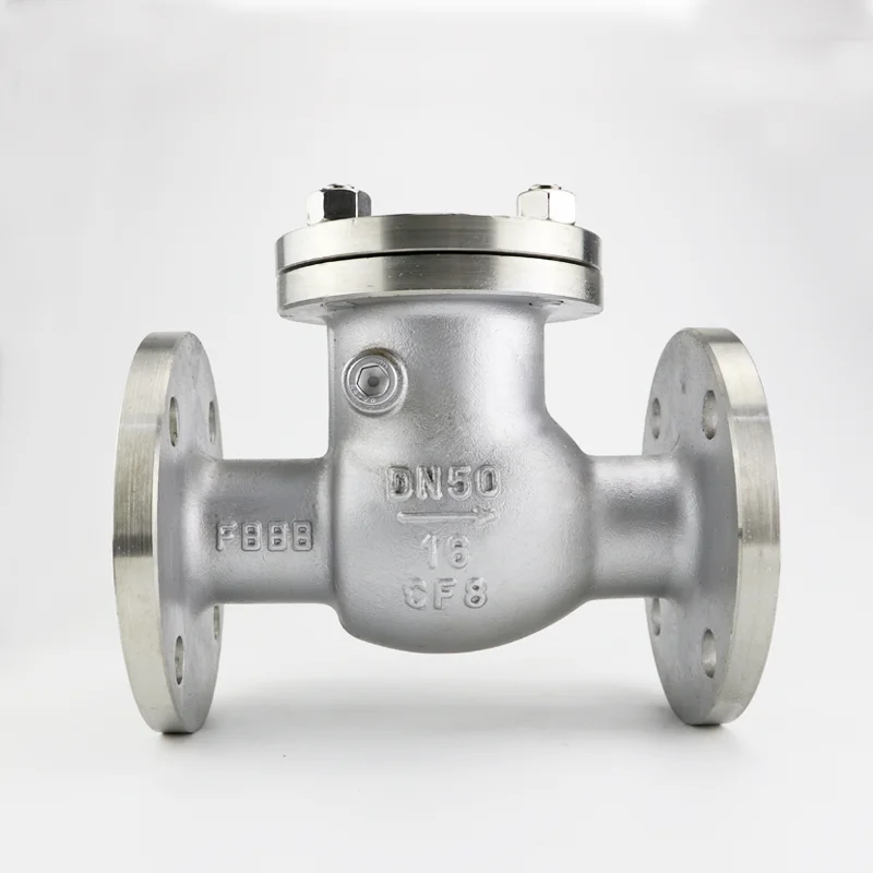 Stainless Steel Swing Check Valve Made in China Horizontal Check Valve Swing Plate Check Valve H44W-16P