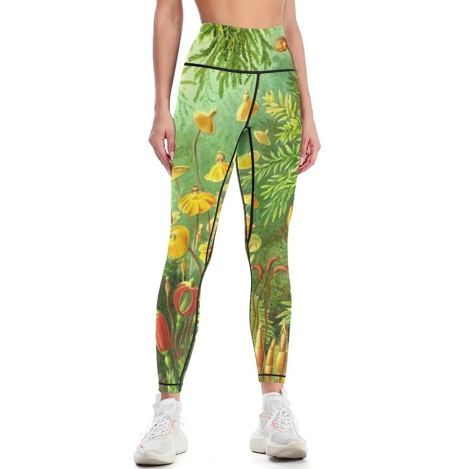 Moss - Ernst Haeckel Leggings trousers for fitness active wear Female legging pants Womens Leggings