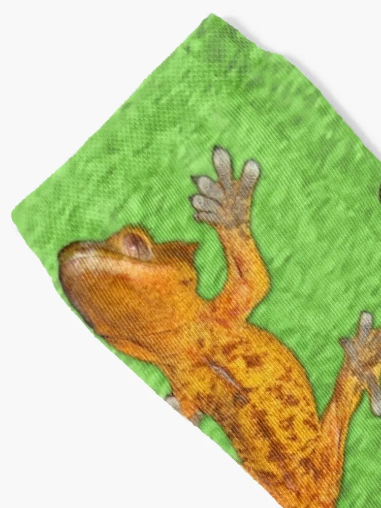 Crested Gecko Socks Cycling Socks