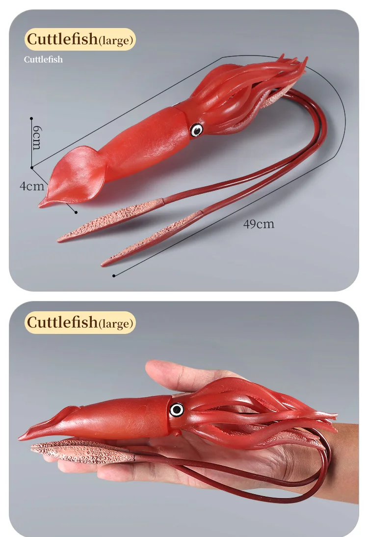 Pädagogische Marine Molluscs ModelToys – Simulation Tintenfisch Oktopus Wachstumszyklus Actionfigur für Kinder Sealife Animal Collection – Detail 9