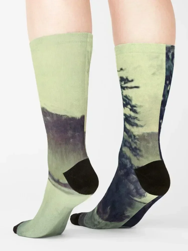 Views at Nagahama Socks Stockings valentine gift ideas designer brand with print Socks For Men Women's