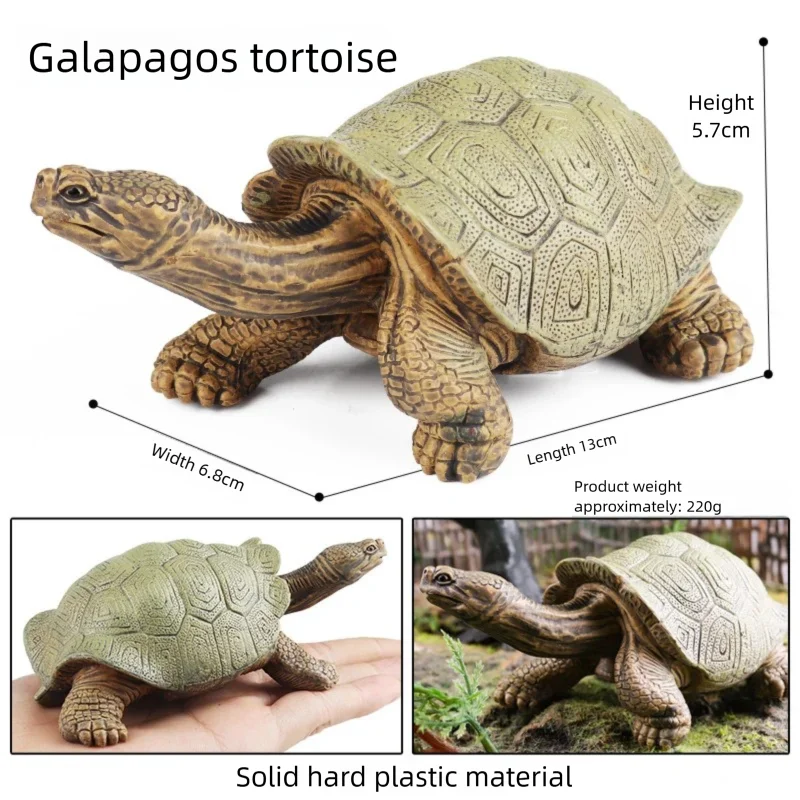 Oenux Simulations-Schildkröten-Set: Alligator, Galapagos-Schildkröte, Chinesische Weichschildkröte Figuren und Puppen – Detail 22