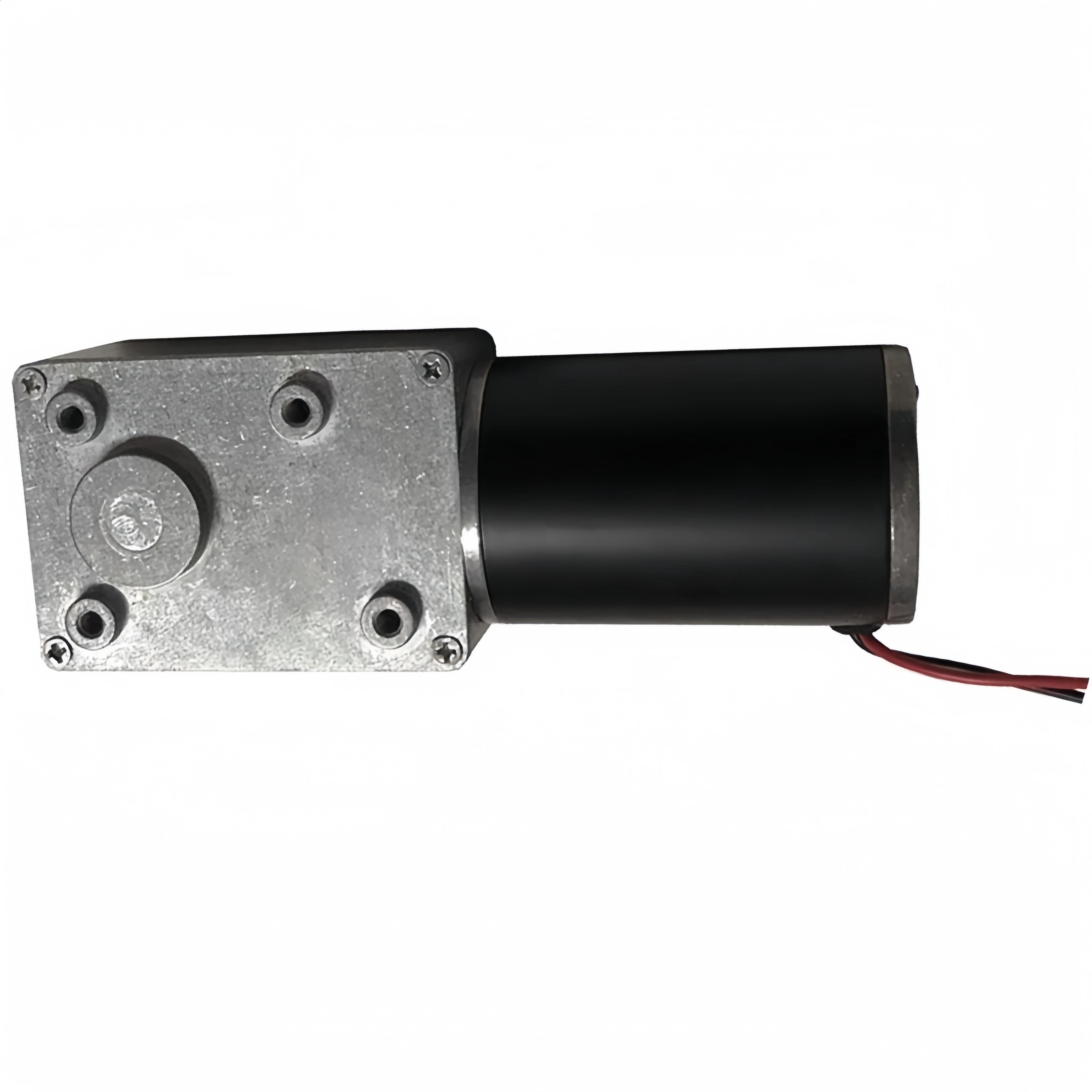 Worm gear reduction motor Electric regulation motor High torque self-locking motor WS-5882GW-50ZY-DC24V-20rmp