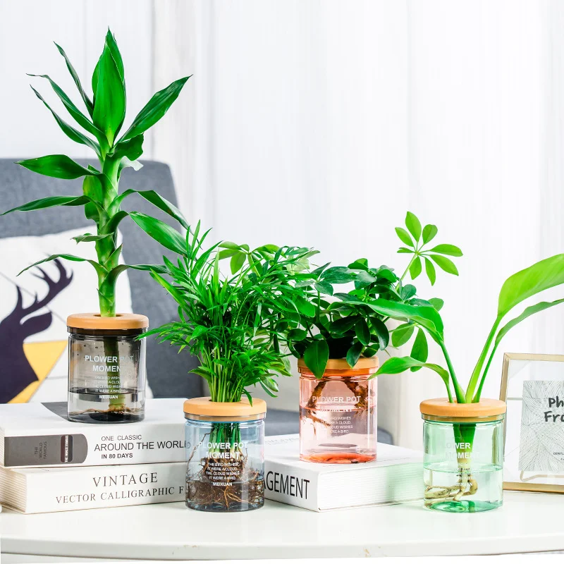 Water Plant Pot Plastic Transparent Hydroponic Small Pots for Plants Flowerpot Soilless Gardening Planter Vases Home Decor