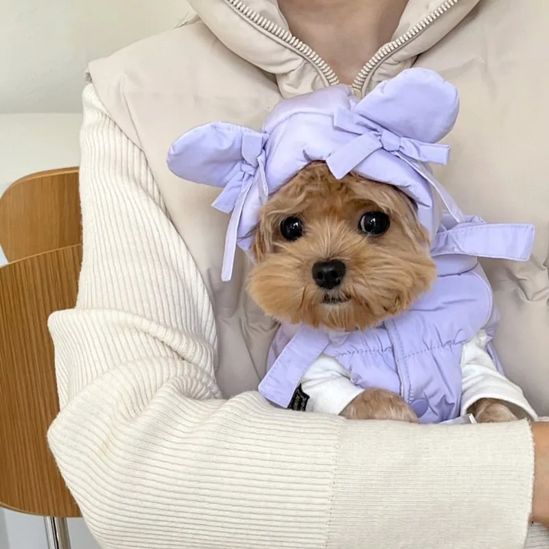 Pet Thickened Cotton-padded Jacket Teddy Bear Pomeranian Poodle Small Dog Bichon Frise Yorkshire Terrier Cat Dog Clothes view 3