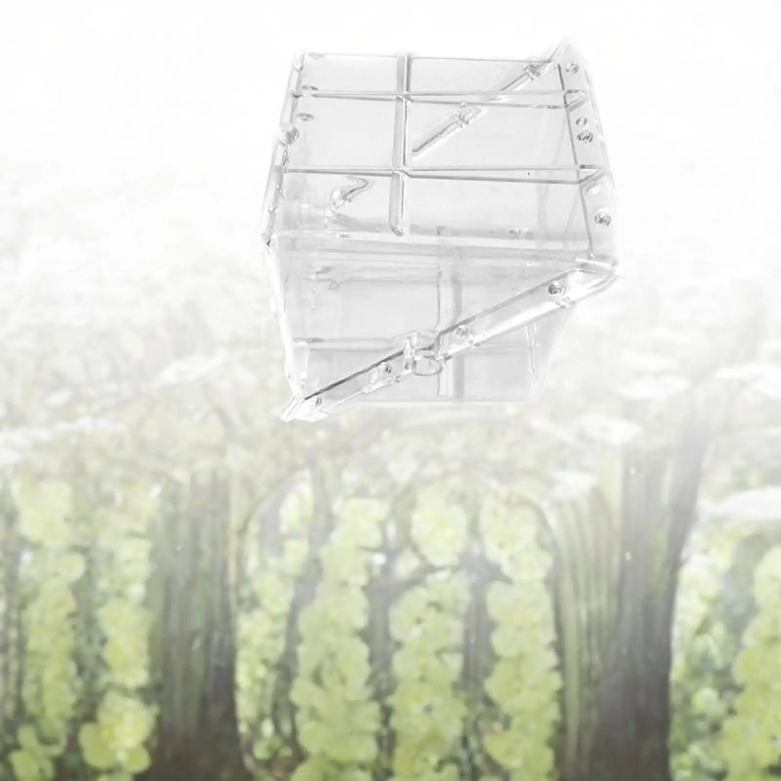 Square Watermelon Growth Mold Equipment Easy to Use High Tensile Strength Unique Creative Transparent Garden Fruit Mould Tool