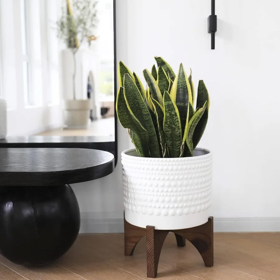 กระถางต้นไม้ic พร้อมขาตั้งไม้ - ดอกไม้ลาย Hobnail ทรงกระบอกสีขาวขนาด 8 นิ้ว