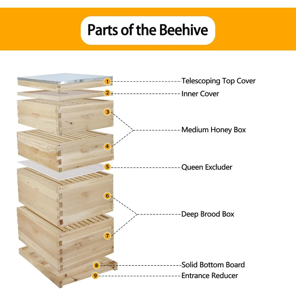 10-Frame Bees Hives and Complete Starter Kit, Bee Hives Boxes Includes 2 Deep Bees Box 2 Medium Bee Hive Box with Beehive Frames