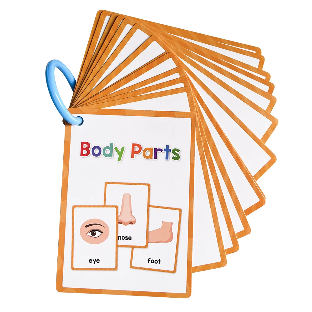 Body Parts Cognitive Flashcards Montessori Learn English Words Card Picture Memorise Educational Toys Gifts for Children