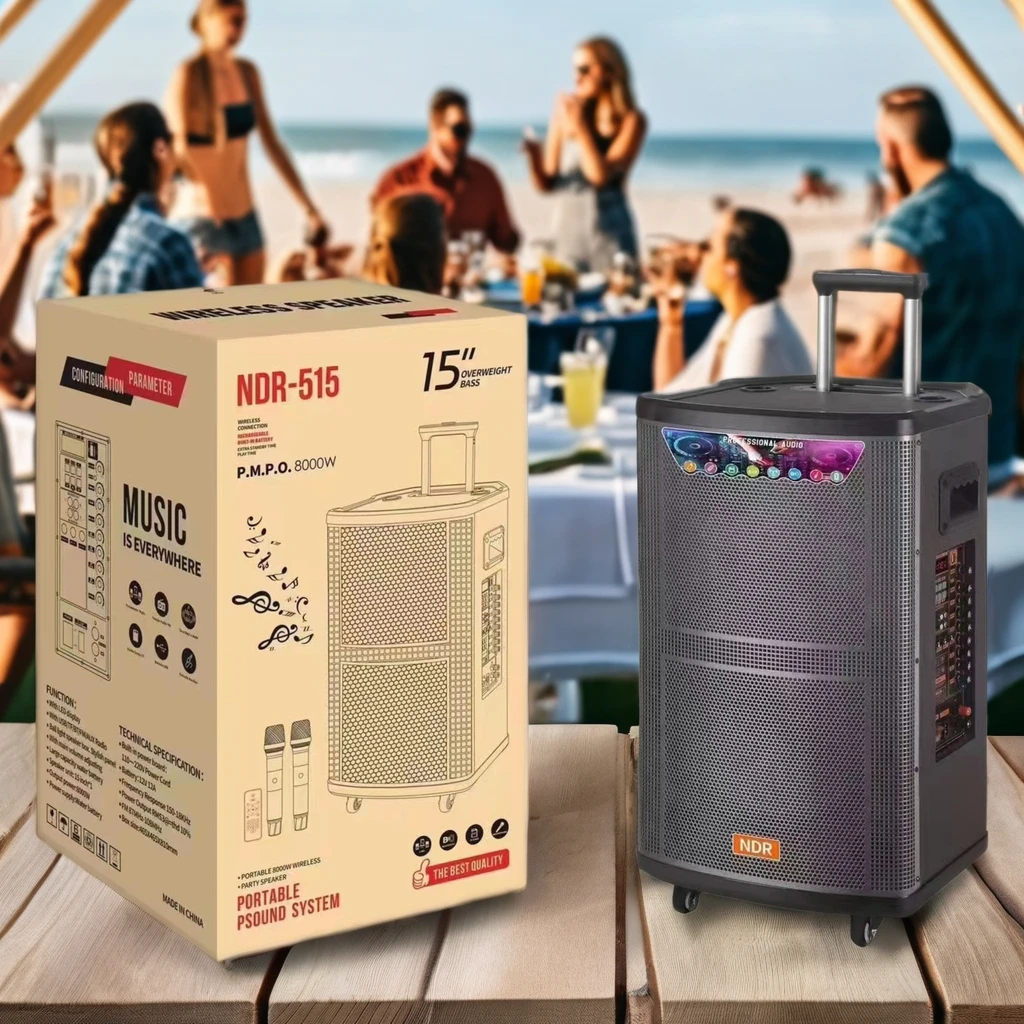 

NDR-515 Professional 15-inch BT Stereo HIFI Wooden Wireless Karaoke Speaker Big Power Bass Trolley Outdoor Parties Computer Use