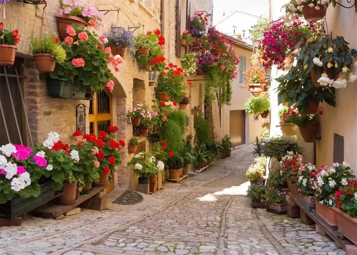 Italy Town Street Italian Tuscany scenery Flower Street Narrow Alley european photo background photography backdrop studio