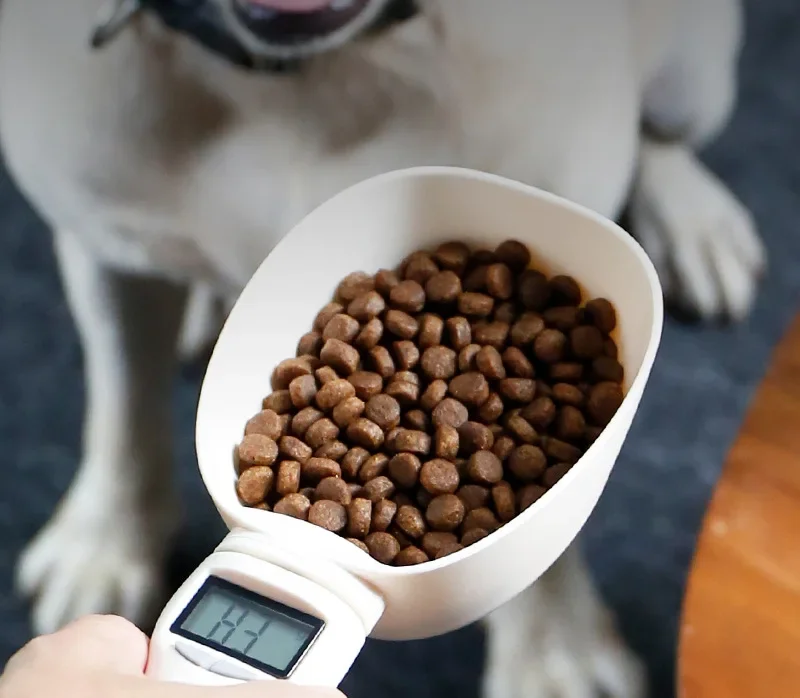 1 Pcs High Quality Pet Food Scale Electronic Measuring Tool Dog Cat Feeding Spoon Kitchen Scale Digital Display 250ml Pet Items