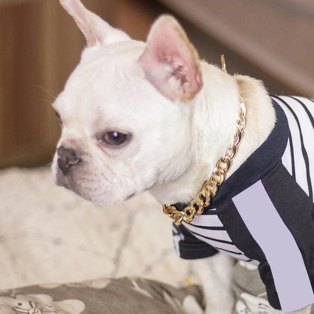 

Pet Golden Necklace For Dogs Smooth Polished Round Edges Easy On Off Durable Wear Daily Holiday Party Use Dog Golden Chain