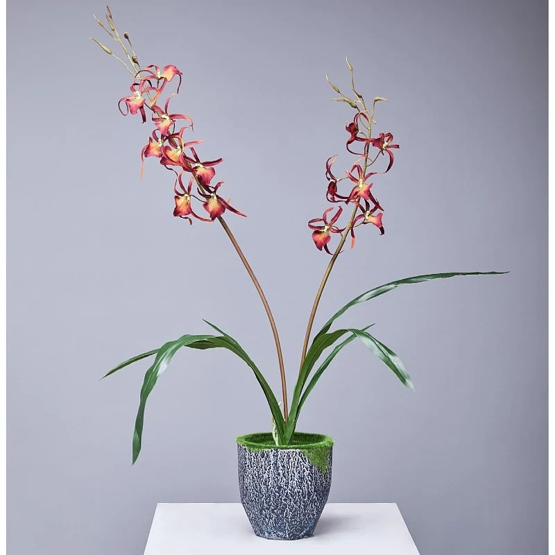 Simulated Spider Orchid European Style Soft Decoration Small Orchid Artificial Flower Dining Table Fresh Spider Orchid Silk