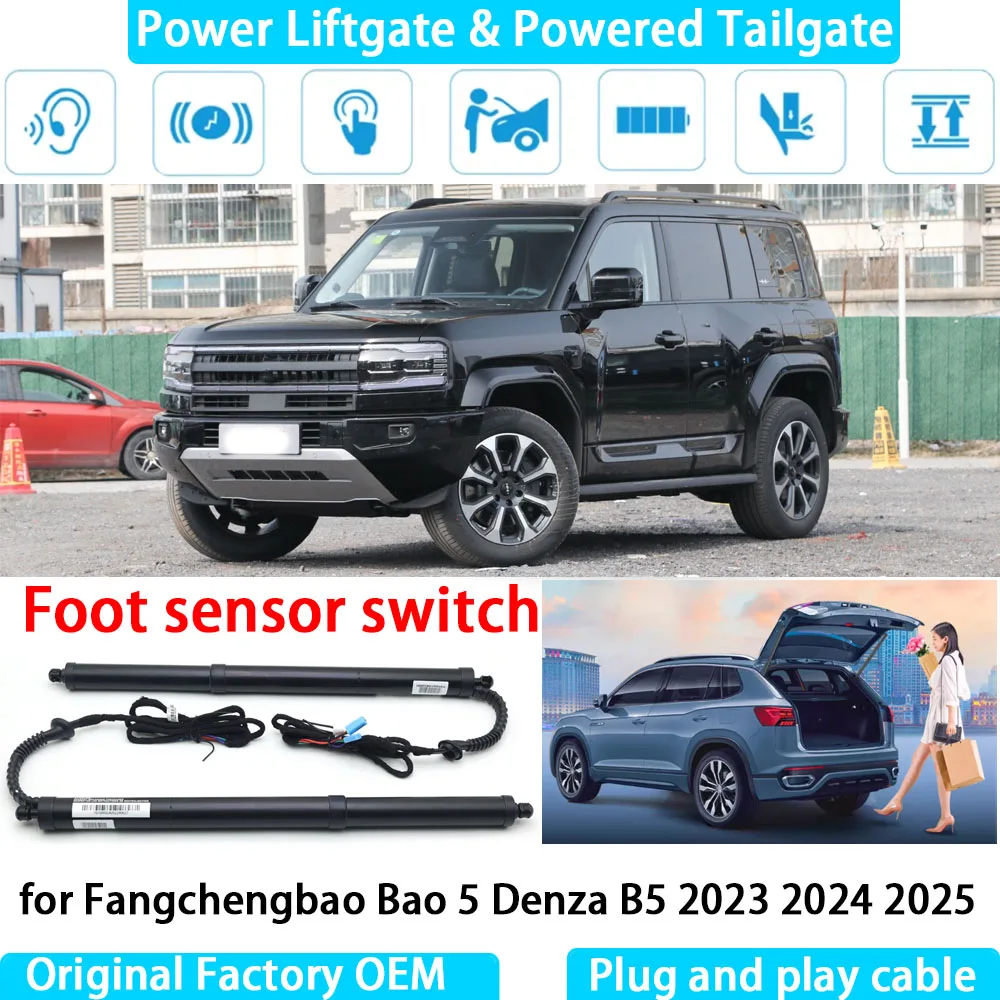 

for Fangchengbao Bao 5 Denza B5 2023 2024 2025 Automatic Electric Power Liftgate Powered Tailgate Strut Tail Gate Lift System
