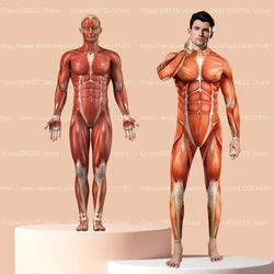 Funny Carnival Muscle Jumpsuit Outfits Hero Cosplay Custom 3D Printing Anime Bodysuit Zentai Adult Halloween Purim Catsuit