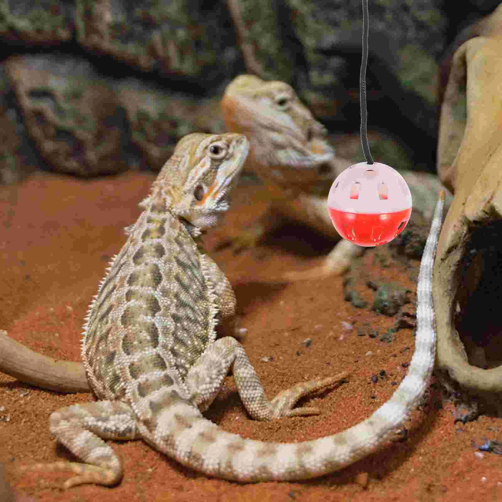 Lizard ของเล่น Bearded Dragon ถังอุปกรณ์เสริมพลาสติกมังกรของเล่นสัตว์เลื้อยคลาน Bell Balls สัตว์เลี้ยงของเล่น Interactive ในครัวเรือน