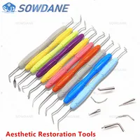 Espátula de relleno de resina compuesta Dental, juego de restauración estética, juego de relleno de resina, herramienta Dental, espátula de restauración, 1 unidad