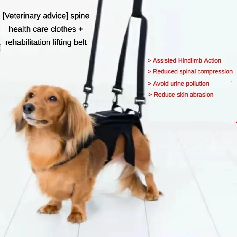 Dog Vests Spinal Suit Supports Lumbar Support Plate Limb Weakness Herniated Disc Dogs Vest Harness Pet Products Supplies