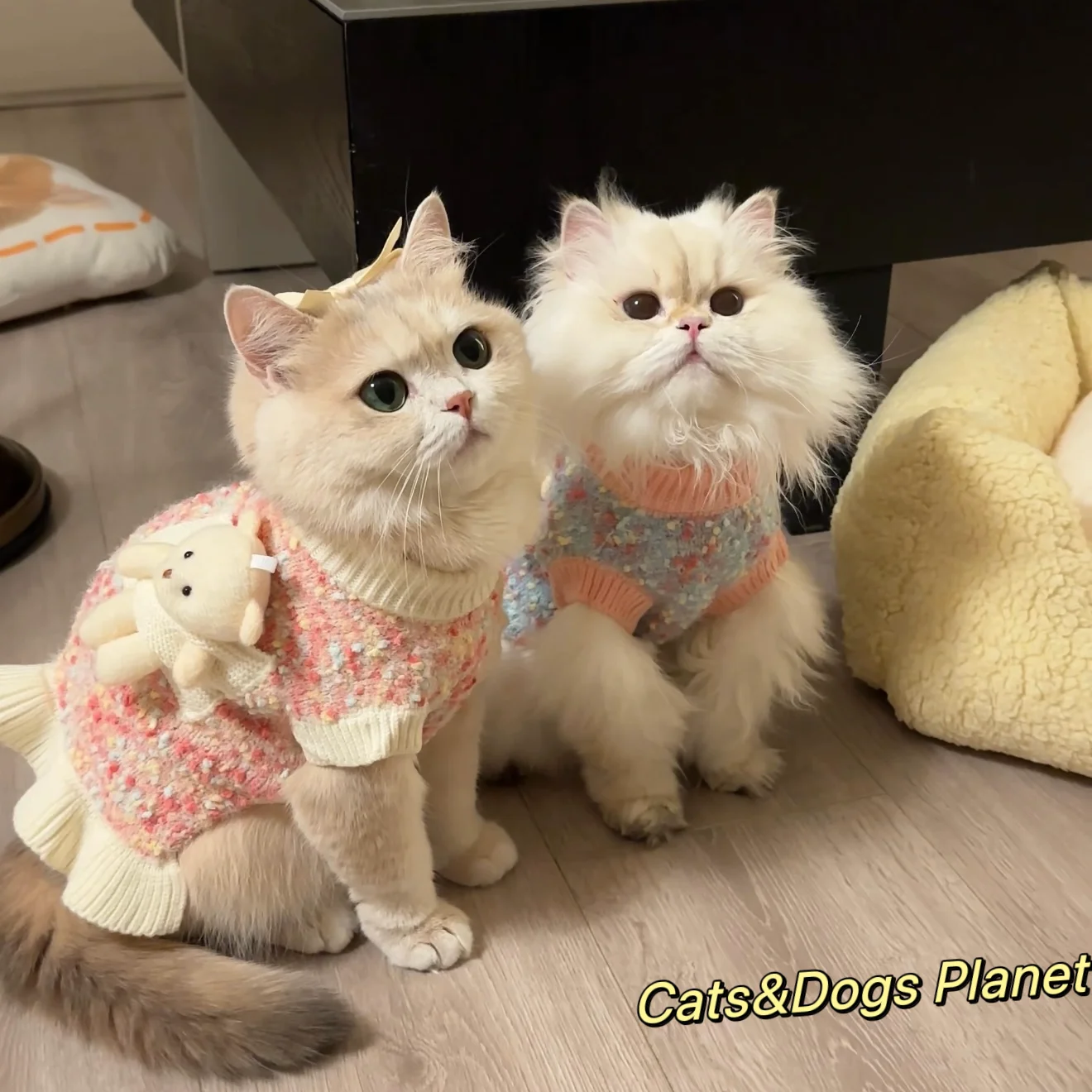 

Warm Knitted Pet Sweater Dr Cute Autumn Winter Polyester Fiber Dog Clothing Outdoor Faionable Personin Daily Use