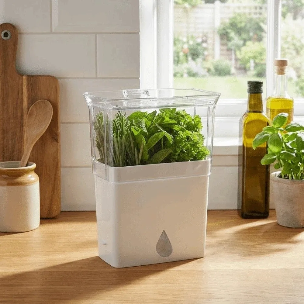 

Practical Plastic Fresh Herb Keeper Large Capacity Airtight Vegetable Keeper Crush-Proof with Lid Herb Preserver Thyme