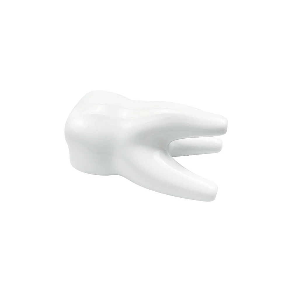 حاوية أقلام سيراميك على شكل أسنان لمكتب المكتب الإبداعية قلم رصاص القلم التخزين حامل مُنظِم حامل عيادة طب الأسنان هدايا جديد #4