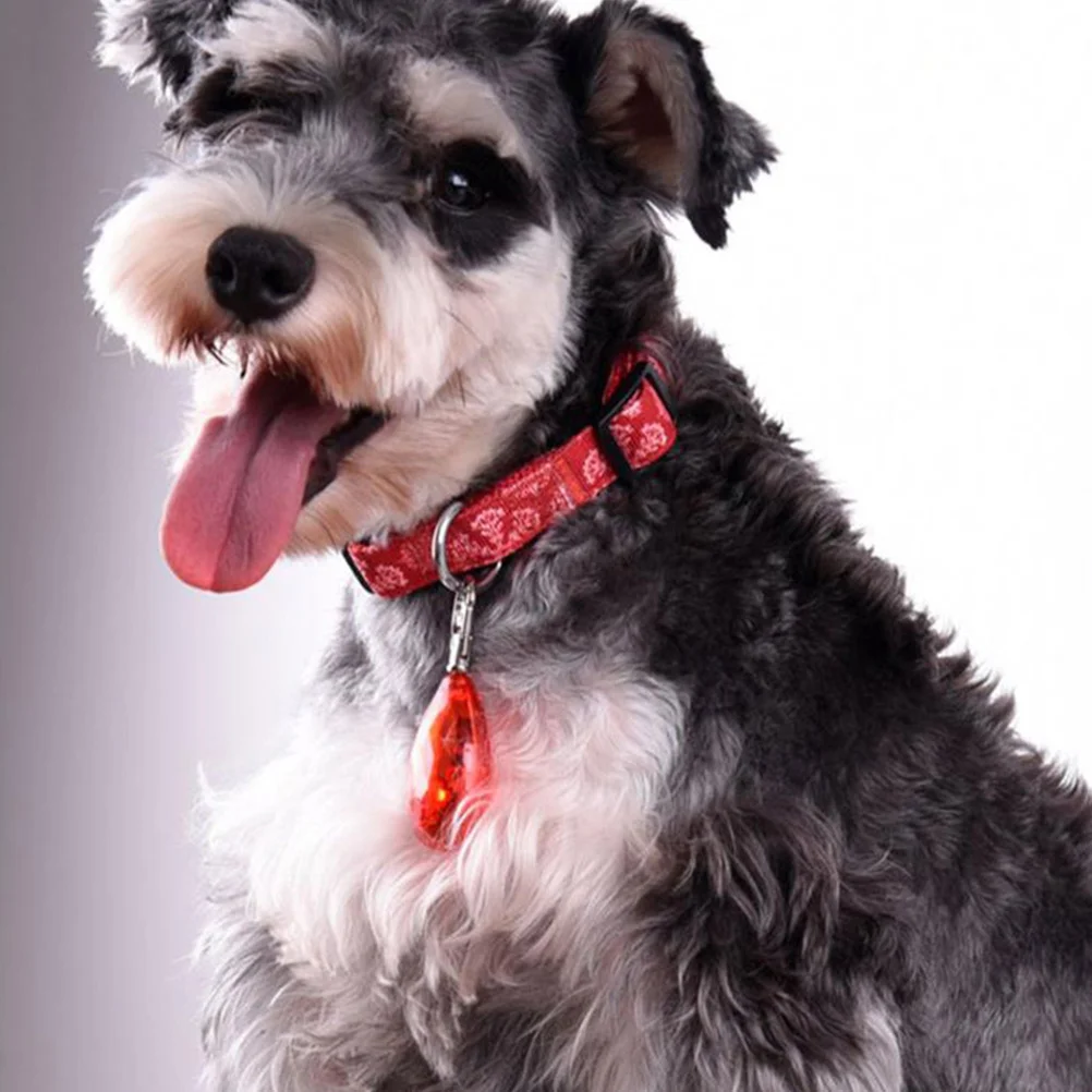 

2pcs Night Walking Dog Light Pendant Rechargeable Pet Safety Pendant Outdoor Visibility Glow In The Dark Lightweight Dog Warning