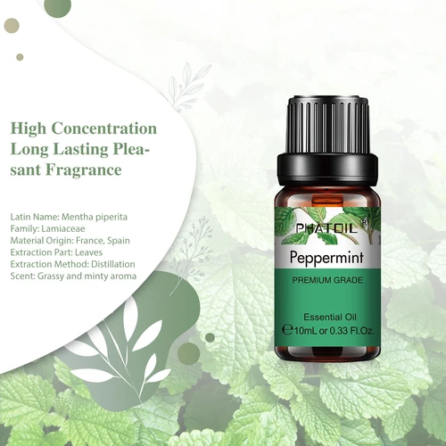 Fragrances & Deodorants