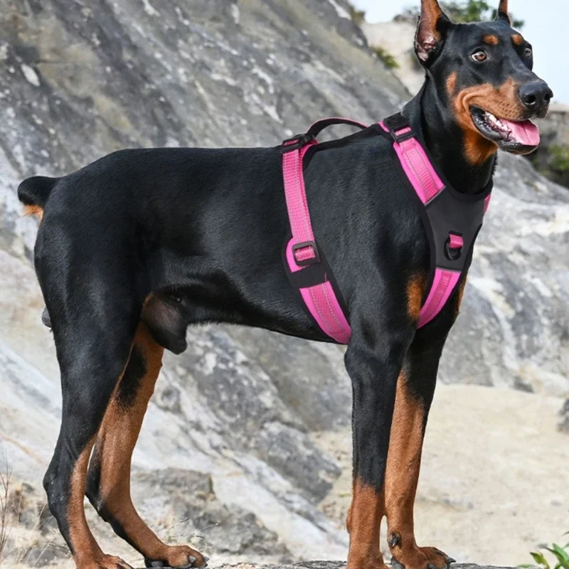 Reflective Pet Chest Shoulder Straps Enhances Visibility and Fashion for Dogs Cats Stay Safes on Night Outdoor Strolls