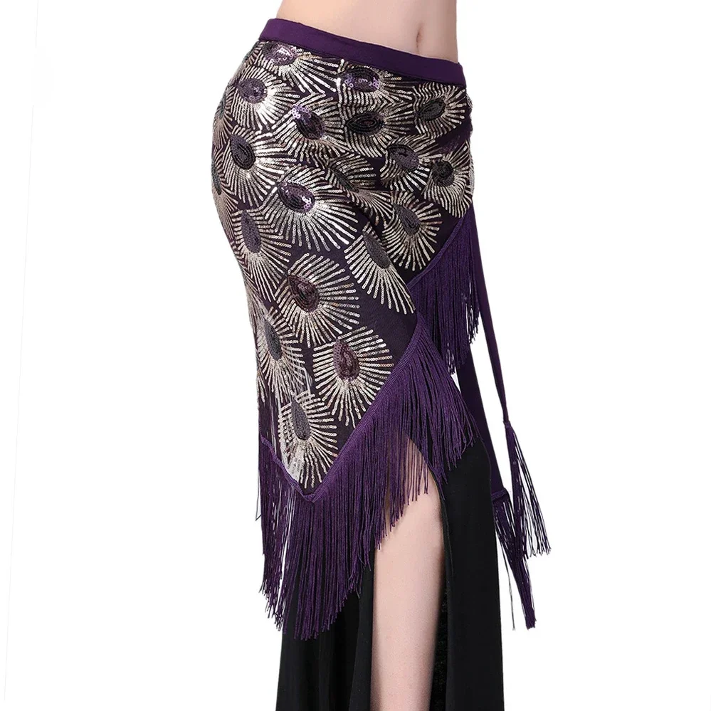Belly dance suit black mesh base long tassel triangle sequin waistband vest