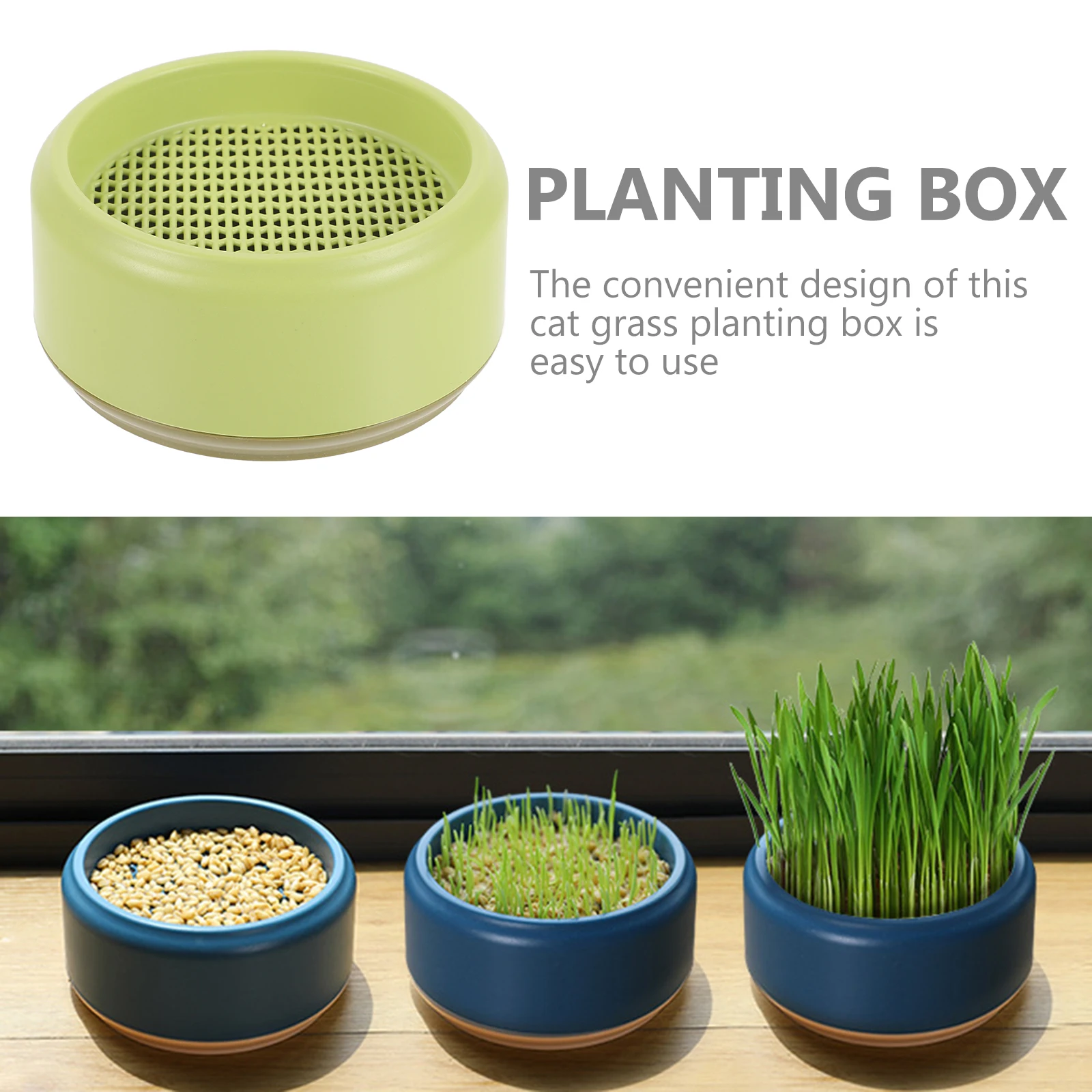 

Creative Cat Grass Planter Box Hydroponic Soilless Growing Pot For Home Pet Lightweight Plastic Convenient Nursery Container